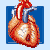 Transplantace srdce